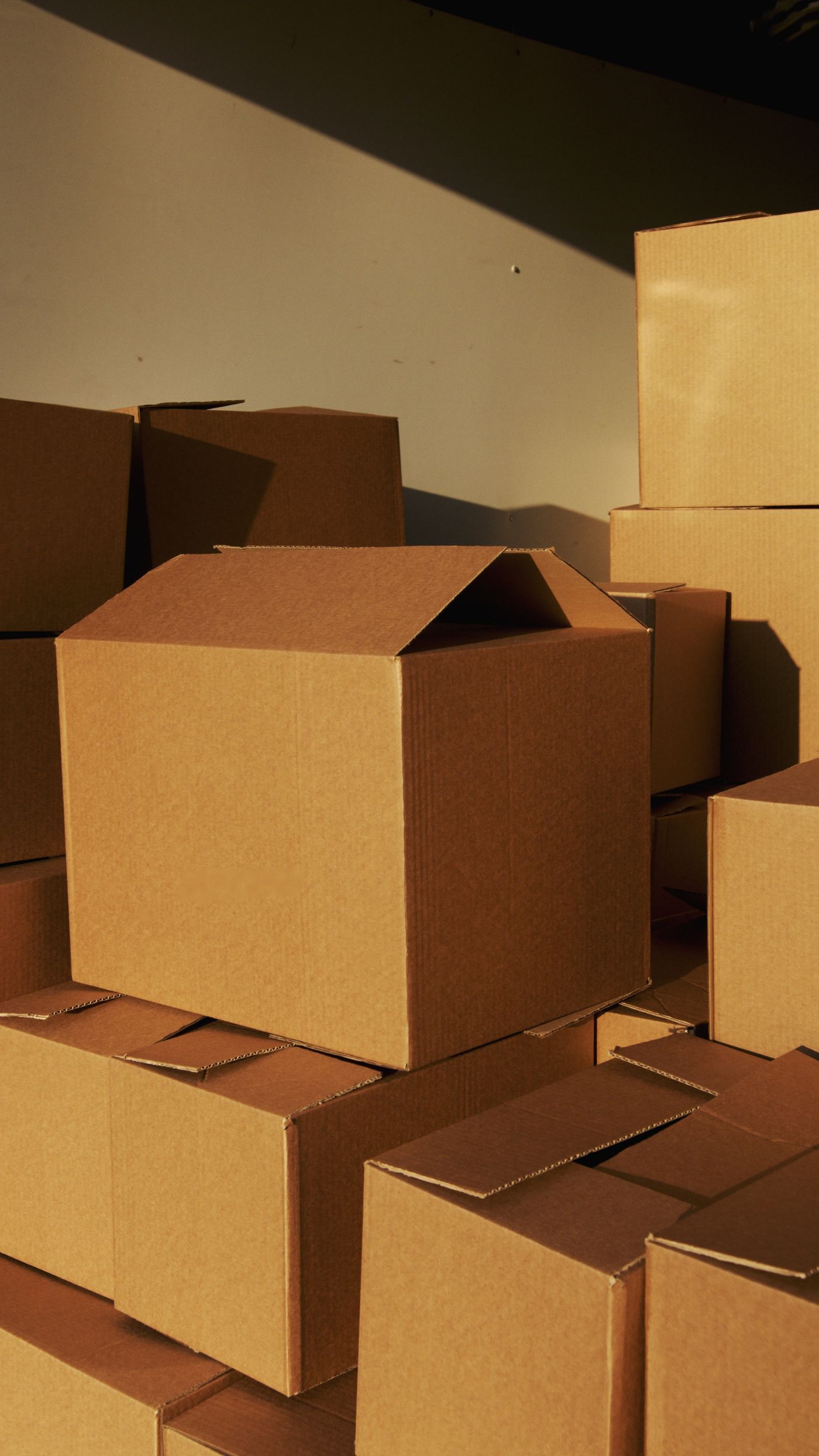 Shelf life, storage and packaging for botanical powders