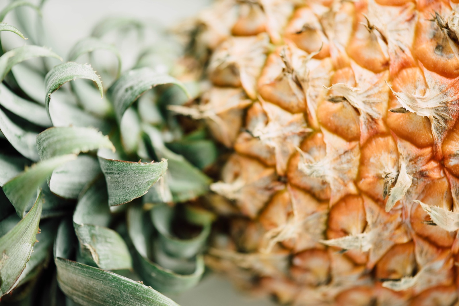 Digestive Enzymes & Gut Health