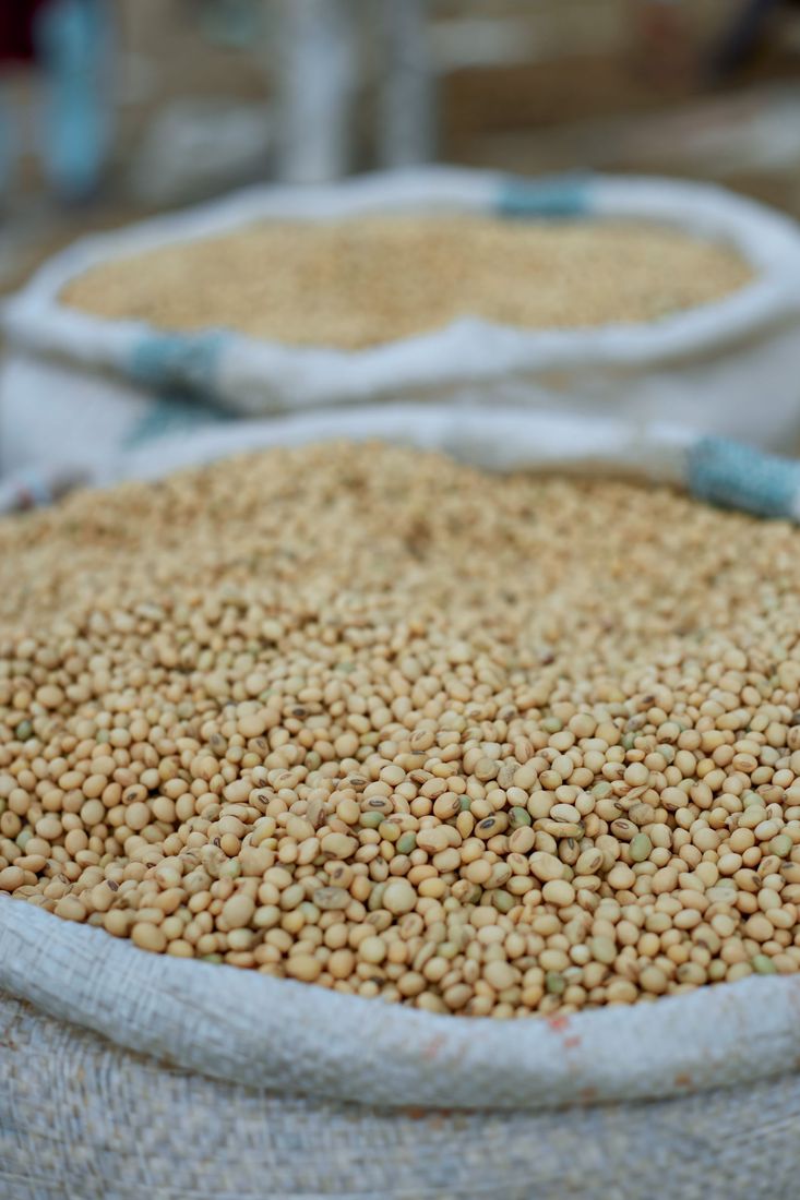 Psyllium ingredients
