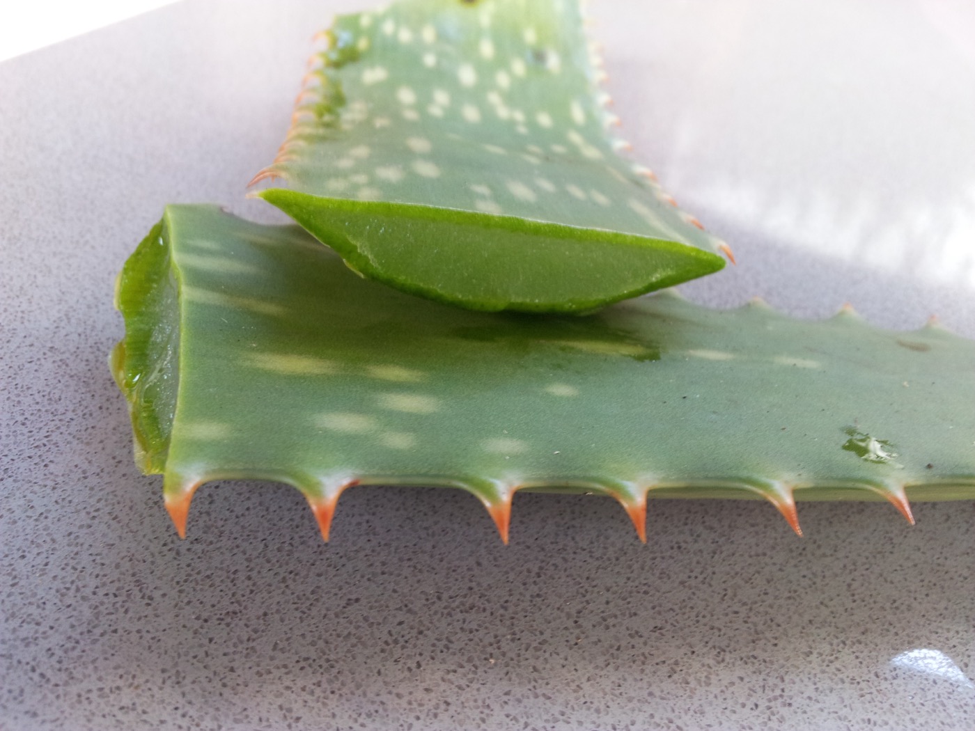 Aloe Vera Extract 200:1 (Spray-Dried Inner-Leaf Gel Powder)
