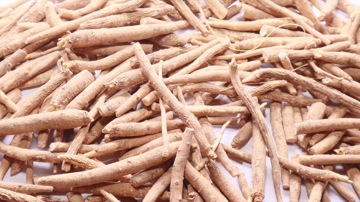 Ashwagandha Extract (Withania somnifera)