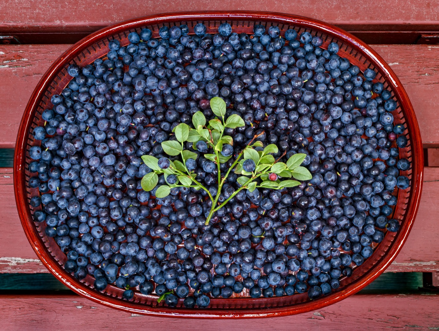 Bilberry and Lutein Eye Capsules