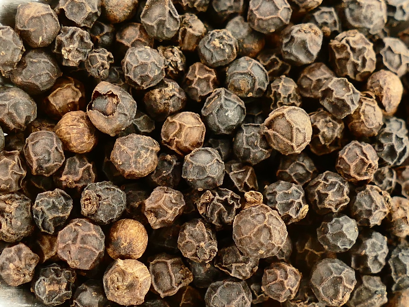 Black Pepper Extract (Piperine 95%)