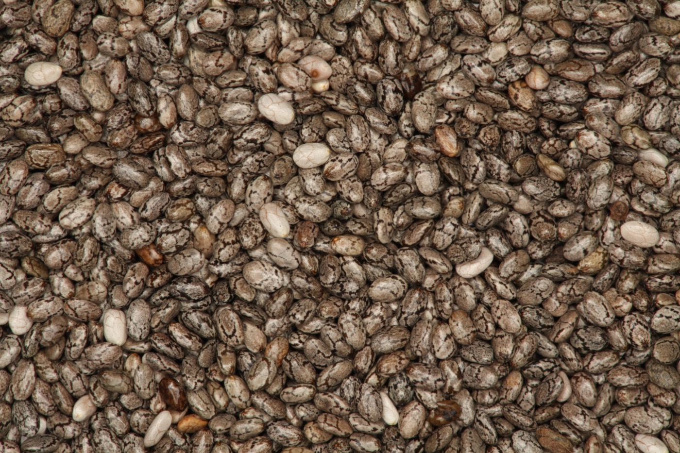 Chia seed oil