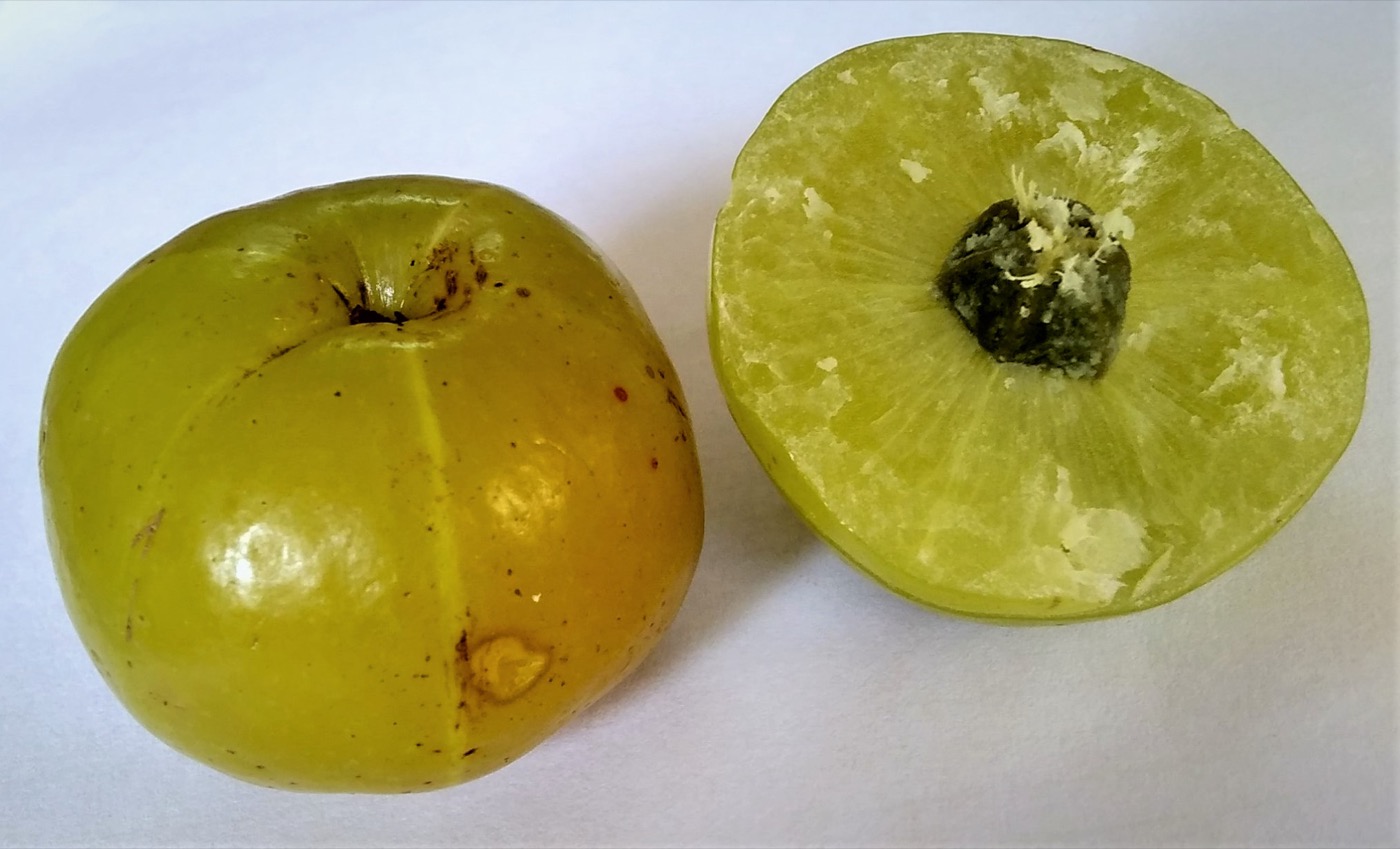 Chyawanprash