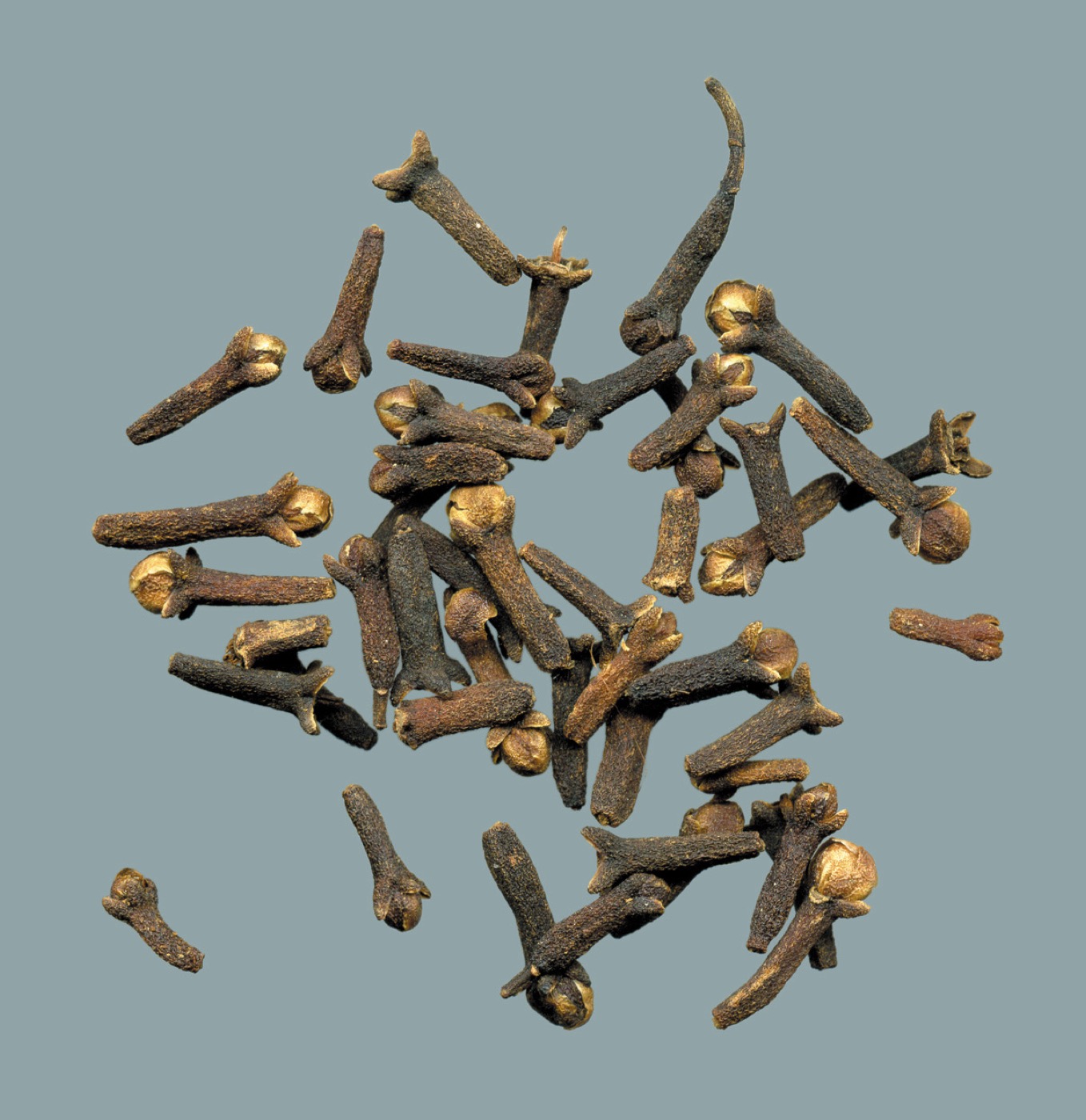 Clove Bud Extract (Eugenol)
