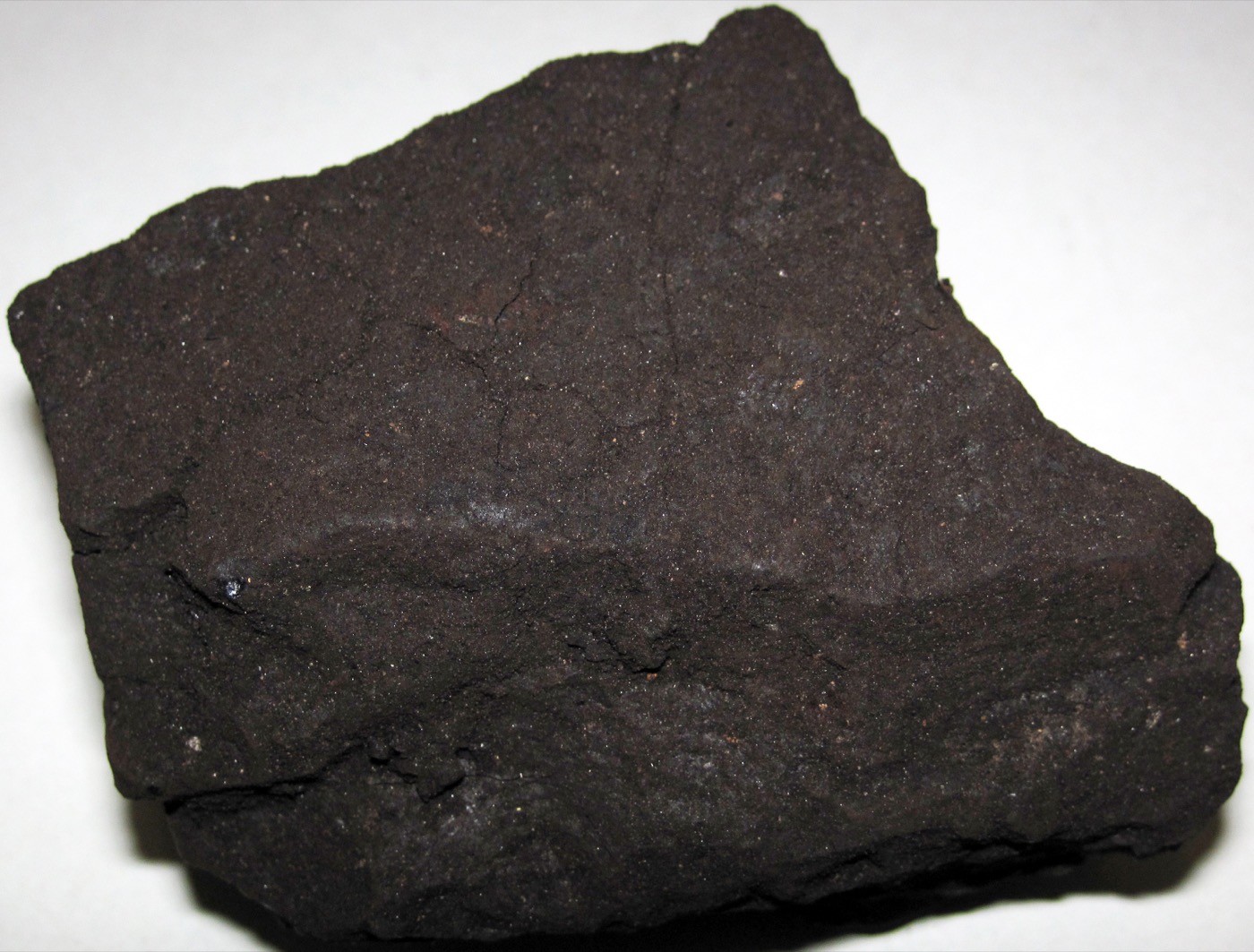 Colloidal Trace Mineral Blend