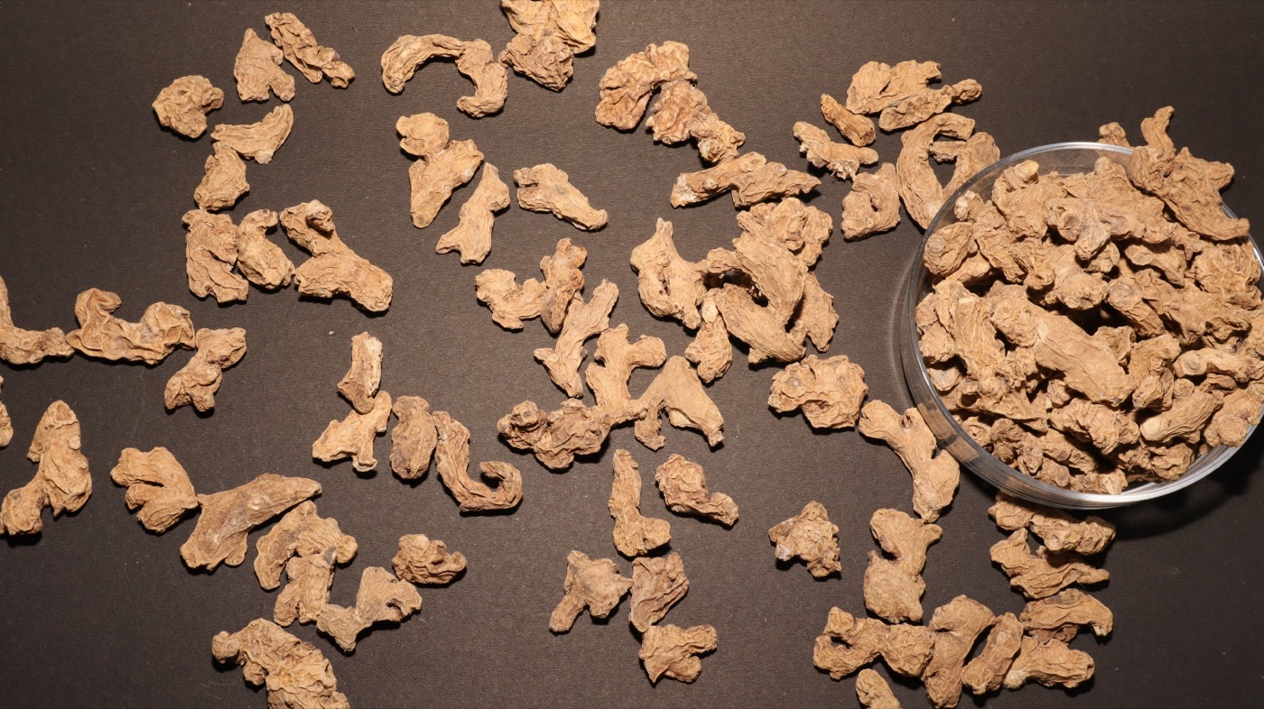 Ginger Extract (Zingiber officinale)