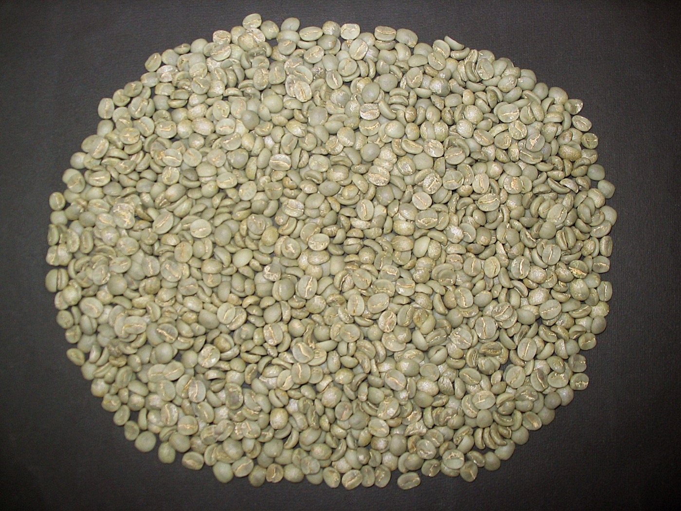 Green coffee bean extract (Chlorogenic acid)