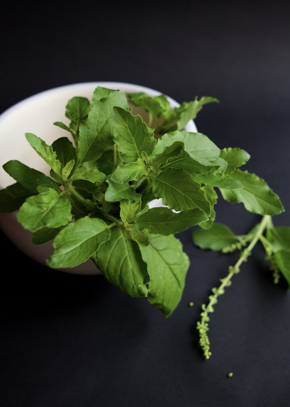 Honey, Ginger and Tulsi Syrup Blend
