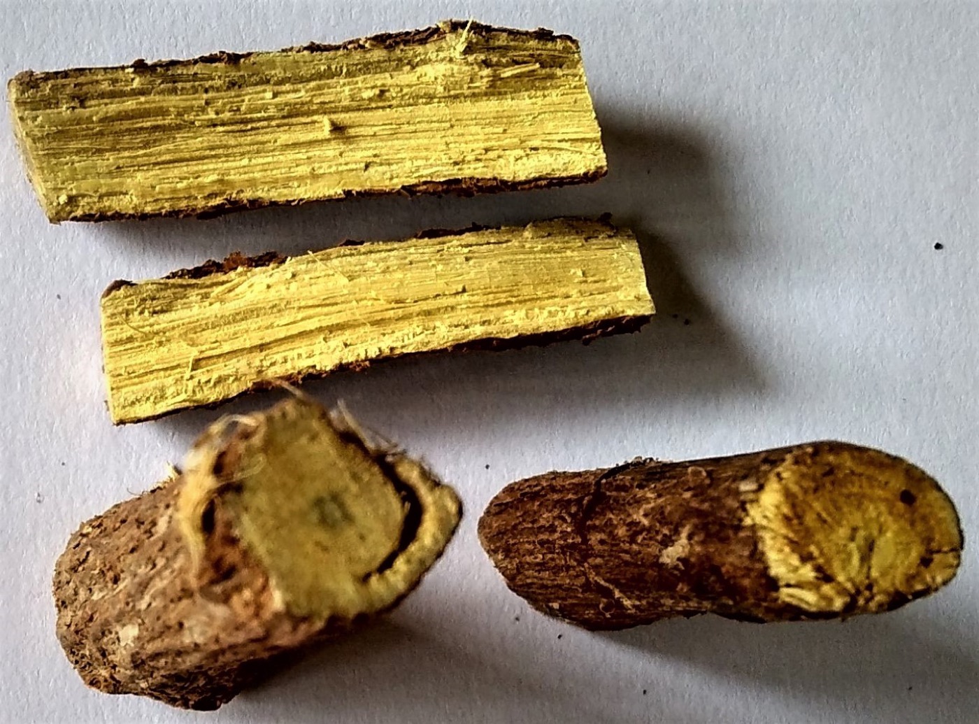 Licorice extract (Glycyrrhiza glabra)