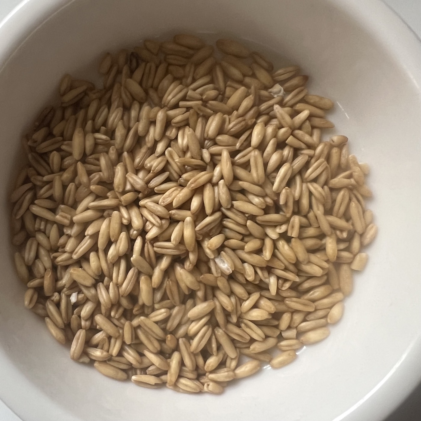 Oat Beta-Glucan Concentrate