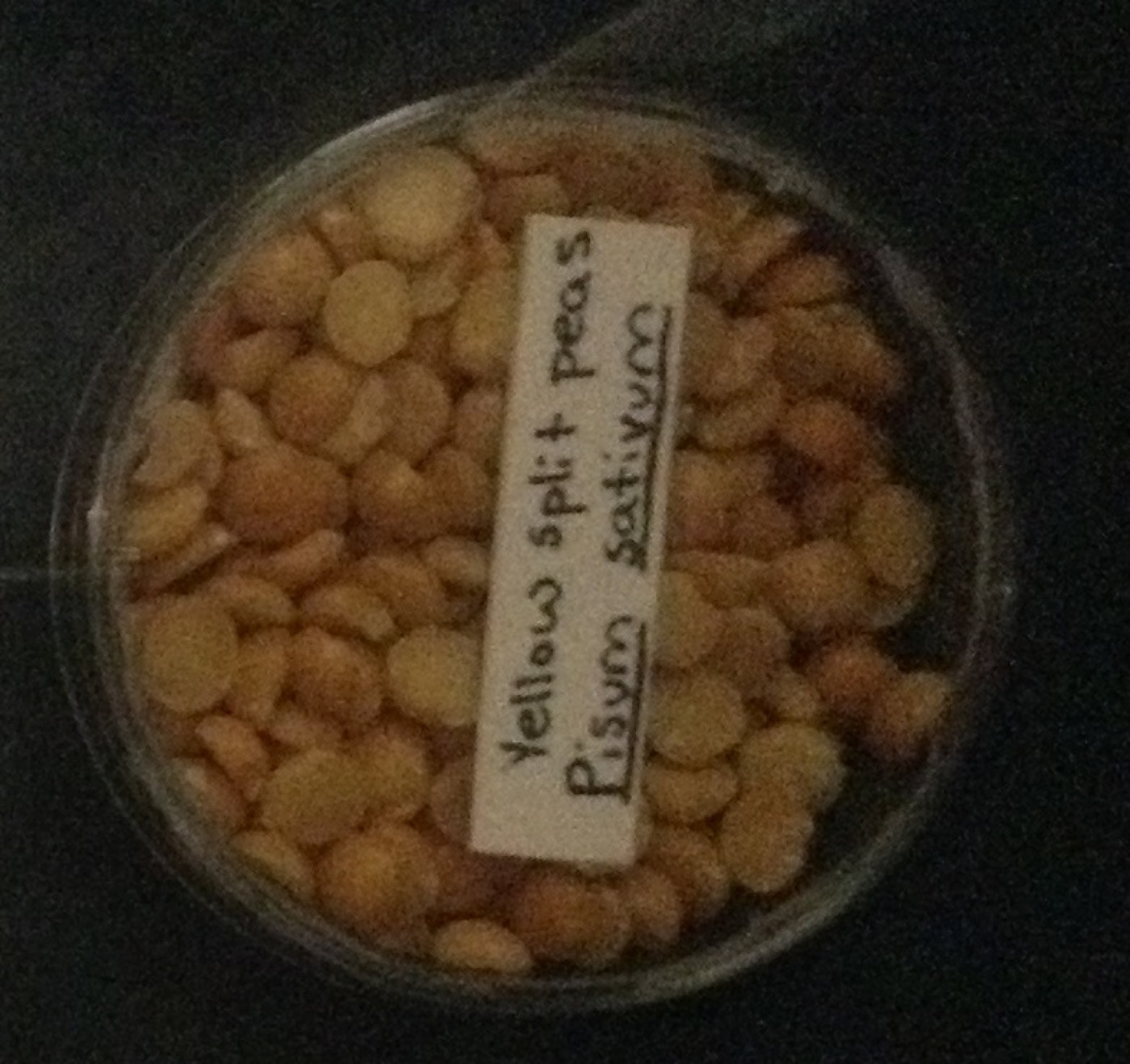 Pea protein isolate