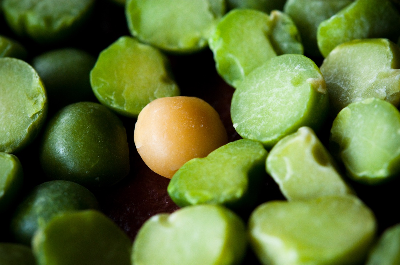 Plant protein blend