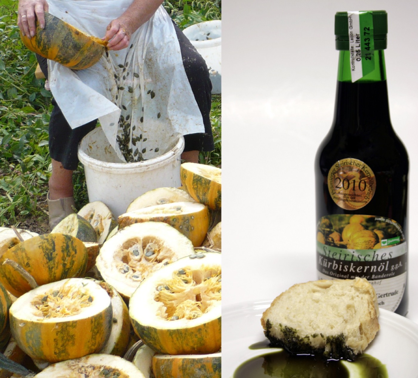Pumpkin seed protein
