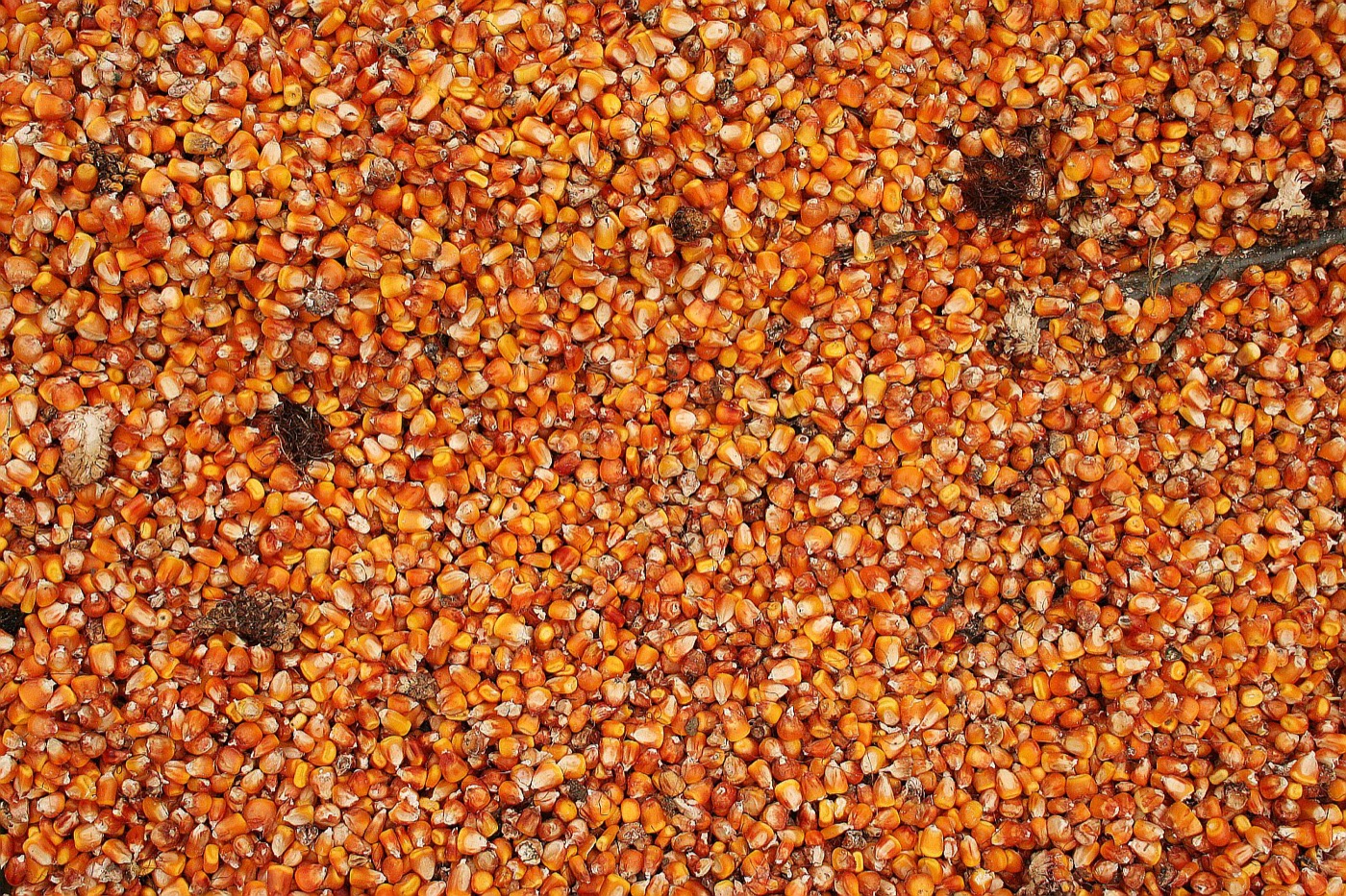 Resistant dextrin