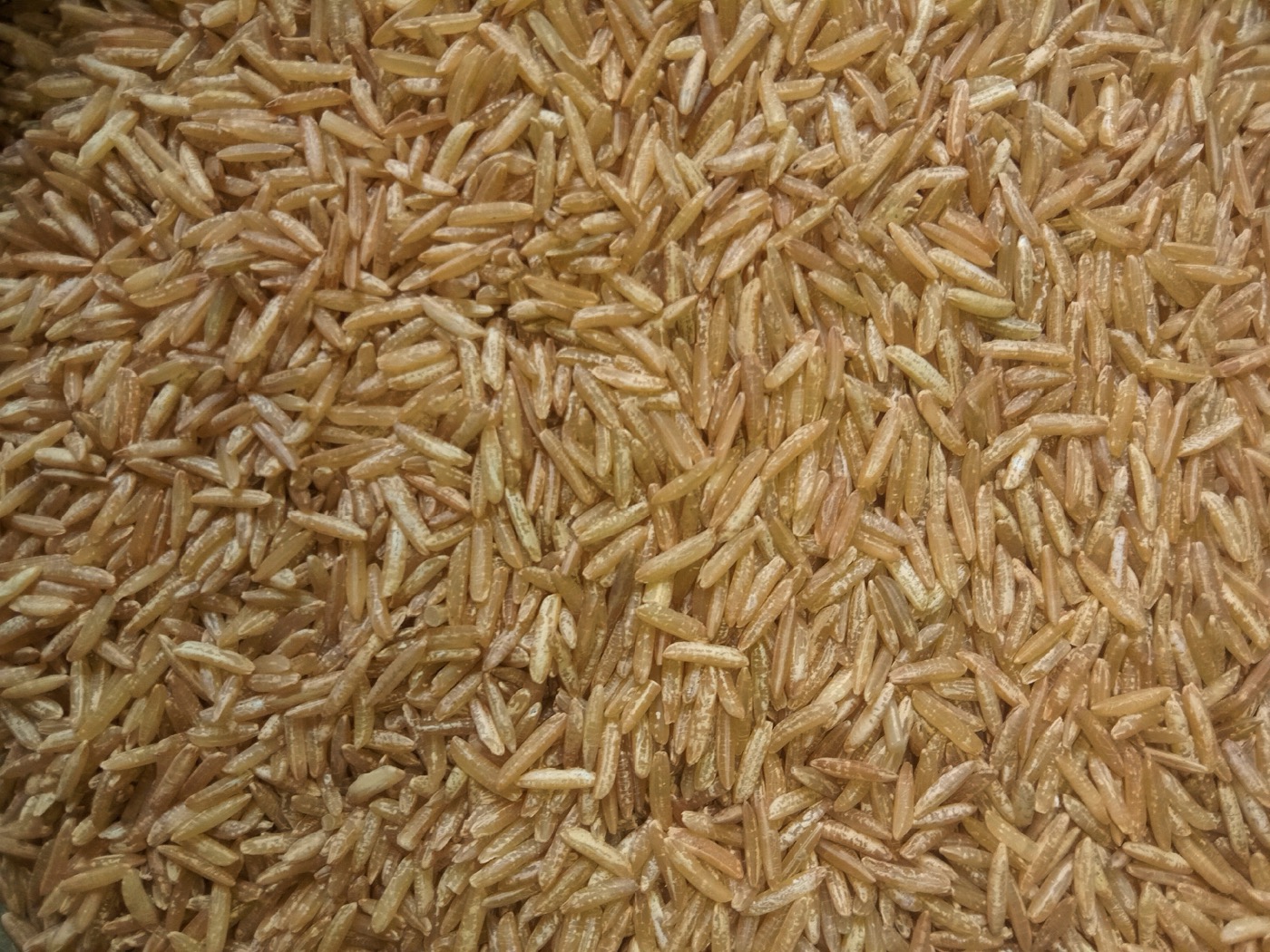Rice protein