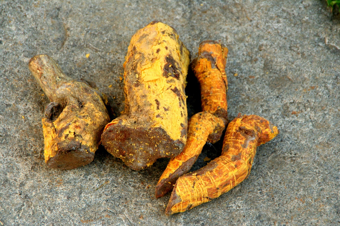 Salacia Extract (Salacia reticulata)