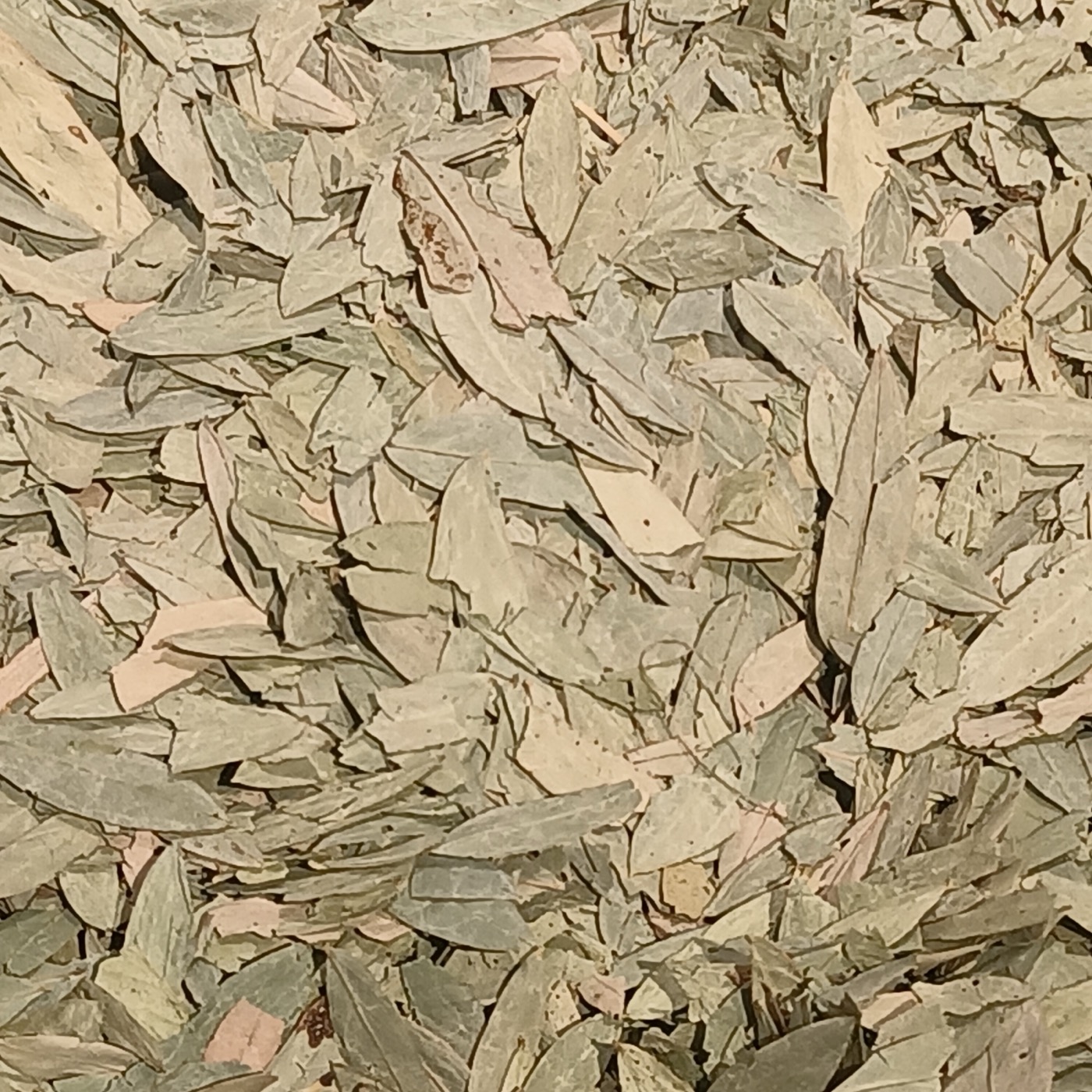 Senna extract (Sennosides)