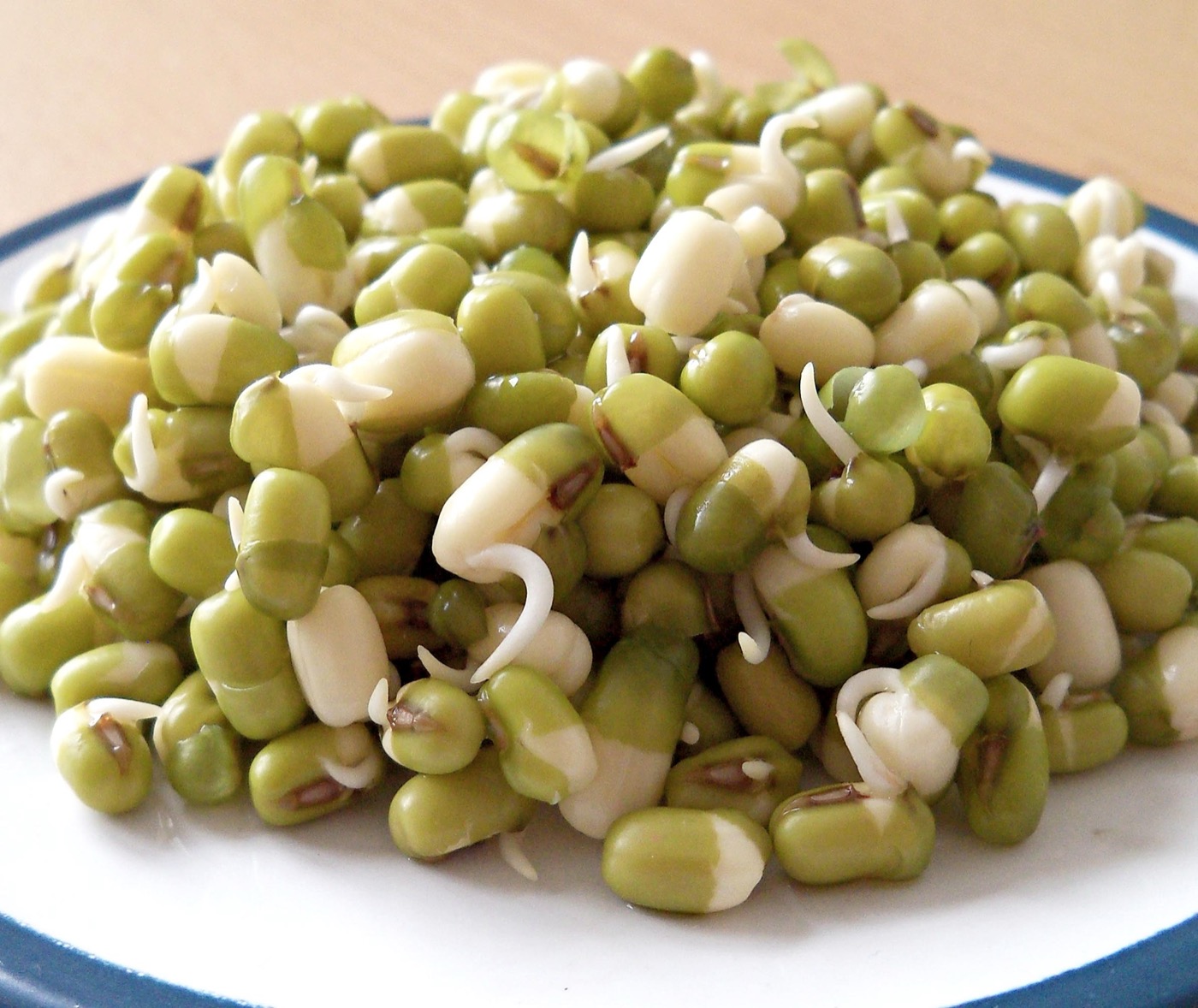 Sprouted Plant Protein Blend