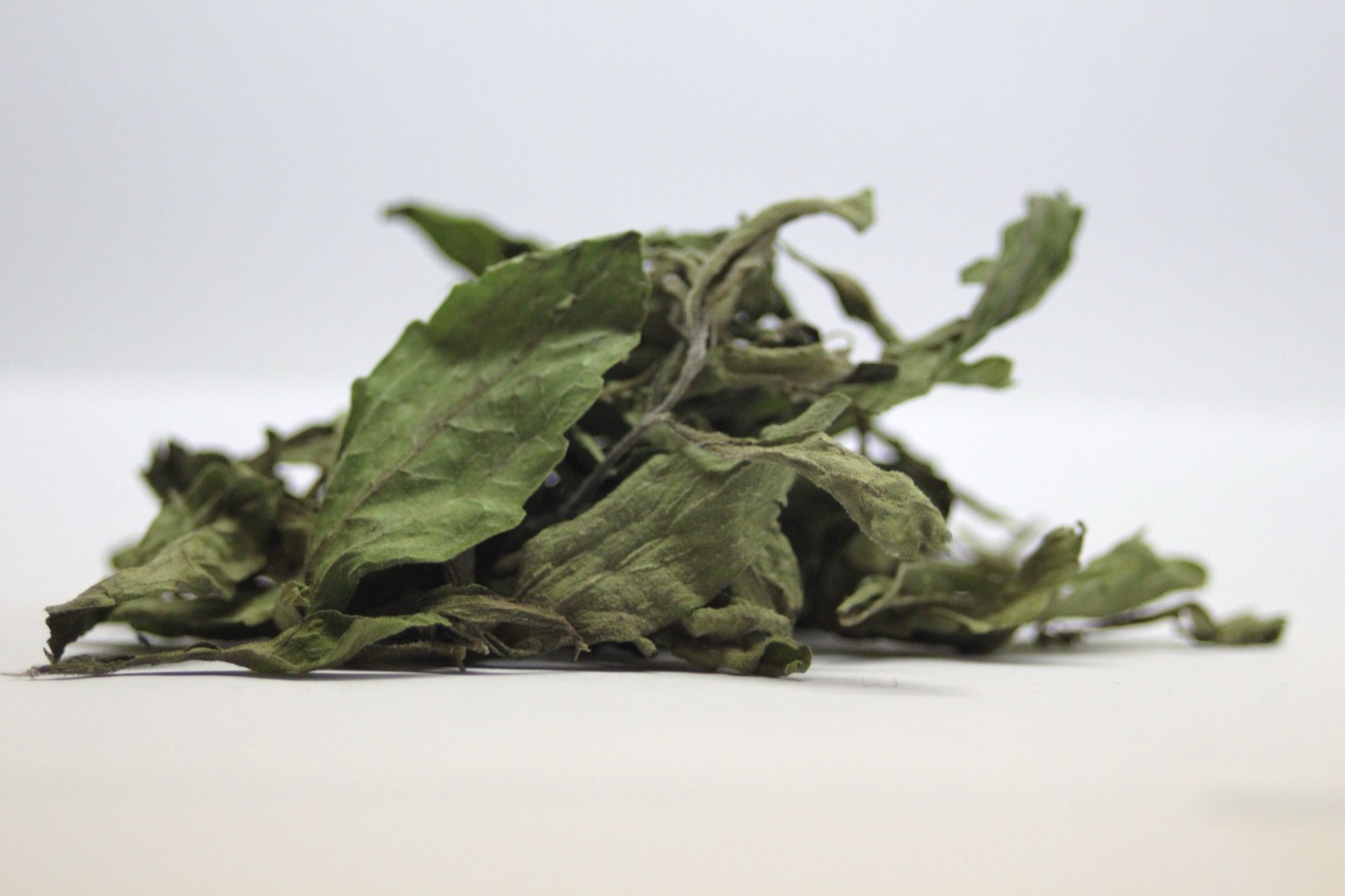 Stevia leaf extract (Steviol glycosides)