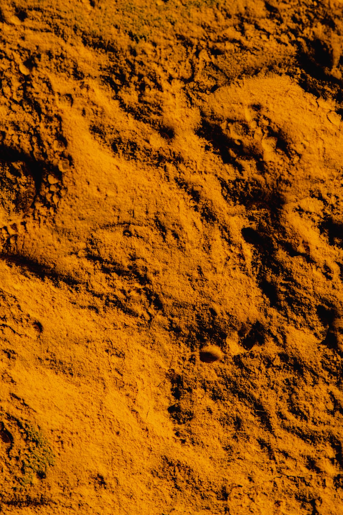 Curcumin 95%: what the number means and why bioavailability comes next