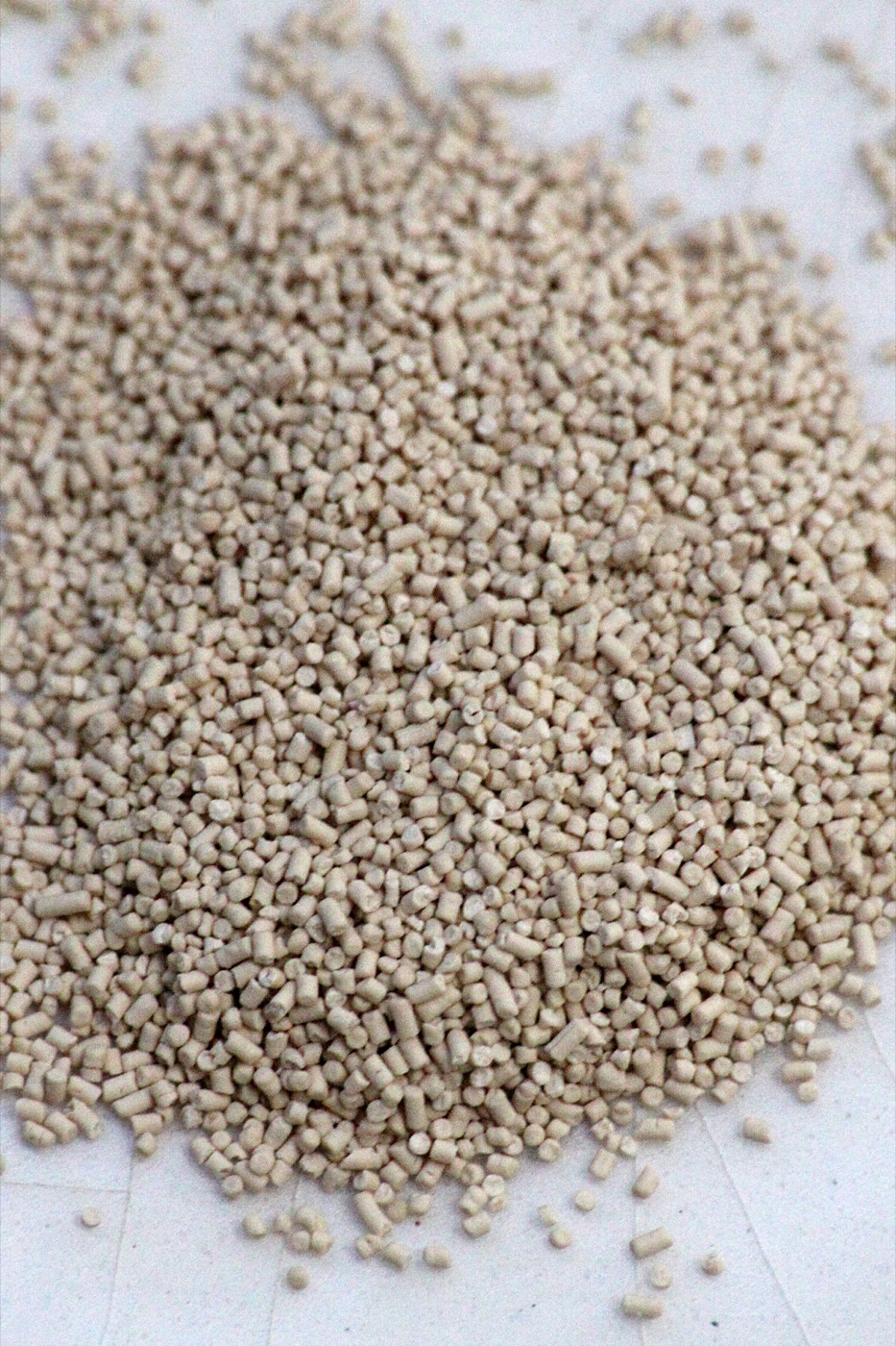 Yeast Beta-Glucan Capsules